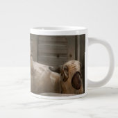 Dier - Schaap - De Orde Grote Koffiekop (Rechts)