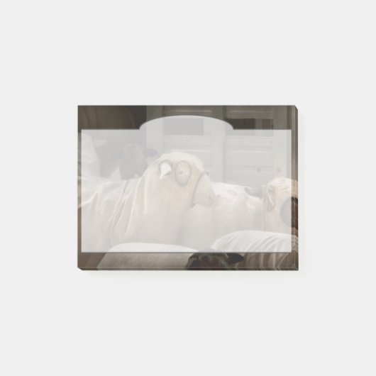 Dier - Schaap - De Orde Post-it® Notes (Voorkant)
