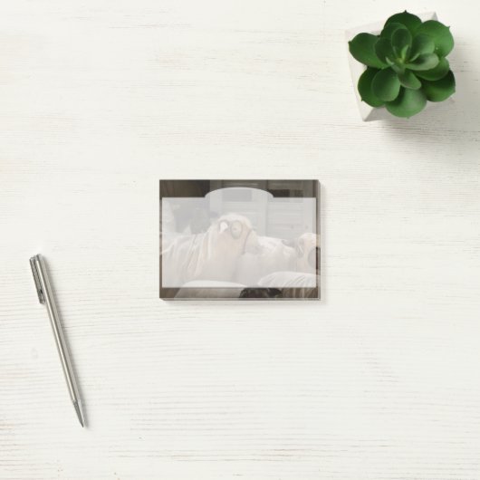Dier - Schaap - De Orde Post-it® Notes (Kantoor)