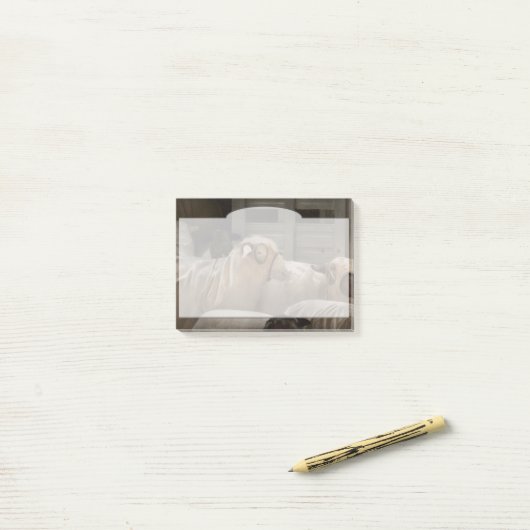 Dier - Schaap - De Orde Post-it® Notes (Op bureau)
