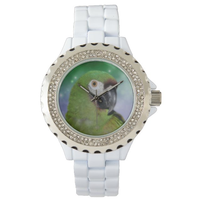 Dier Severe Macaw Parrot Horloge (Voorkant)