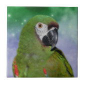 Dier Severe Macaw Parrot Tegeltje (Voorkant)