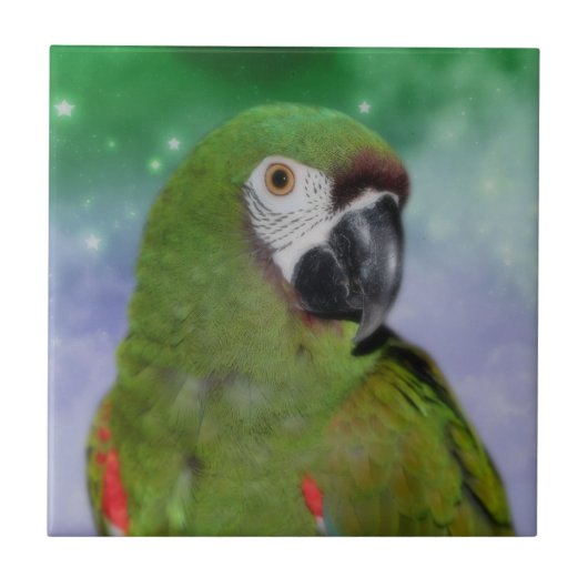 Dier Severe Macaw Parrot Tegeltje (Voorkant)