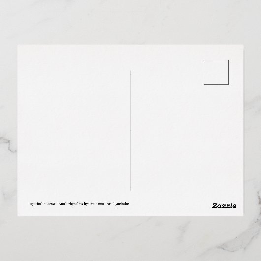 Dier van de Hyacinth macaw, doorgesneden op houten Folie Feestdagen Briefkaart (Achterkant)