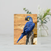 Dier van de Hyacinth macaw, doorgesneden op houten Folie Feestdagen Briefkaart (Staand Voorkant)