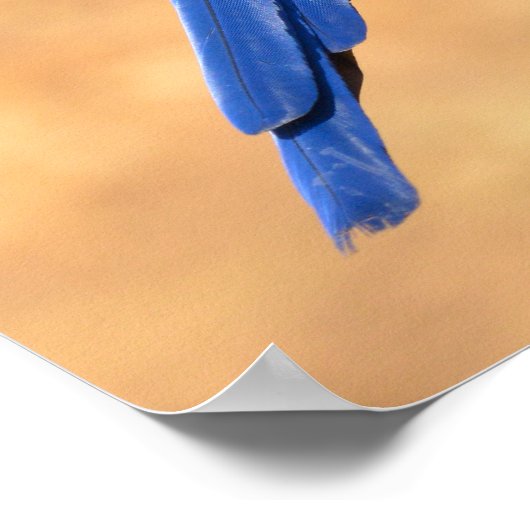 Dier van de Hyacinth macaw, doorgesneden op houten Poster (Hoek)