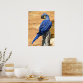 Dier van de Hyacinth macaw, doorgesneden op houten Poster (Keuken)
