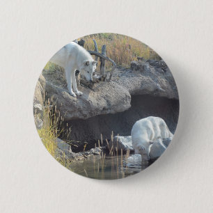Dier van de Liefde van de Vrede van het Land van d Ronde Button 5,7 Cm