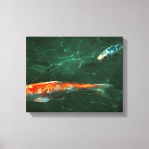 Dier - Vis - Koi - Nog een visverhaal Canvas Afdruk