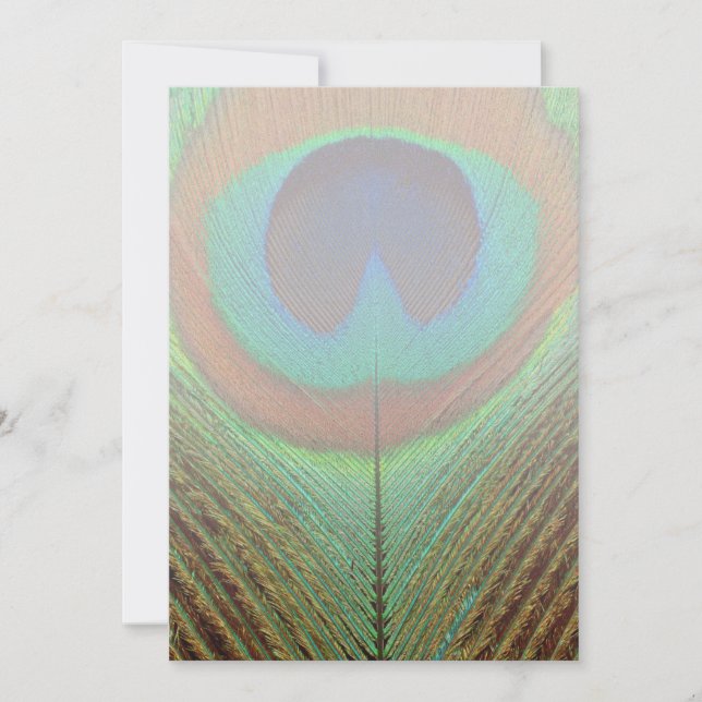 Dier - Vogel - Peacock Veer (Voorkant)