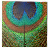 Dier - Vogel - Peacock Veer Tegeltje (Voorkant)