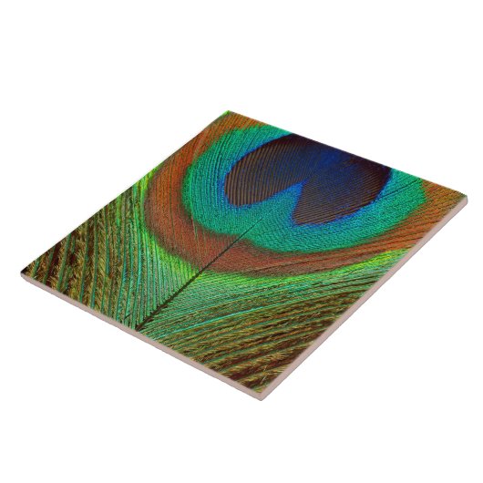 Dier - Vogel - Peacock Veer Tegeltje (Zijkant)