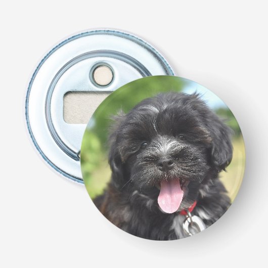 Dier, zoogdier, hond button flesopener (Voorkant)