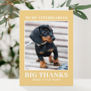 Dierarts Bedankt Huisdier Hond Foto Geel Modern