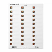 Dierbare oude dieren, elegante witte kat, herfstbl etiket (Full Sheet)