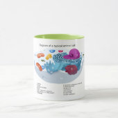 Dierceldiagram voorzien van een etiket mok (Midden)