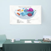 Dierceldiagram voorzien van een etiket spandoek (Beurs)