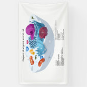 Dierceldiagram voorzien van een etiket spandoek (Verticaal)