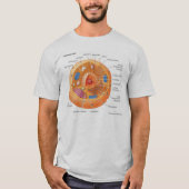 DIERCellen WORDEN ONDERWIJS T-shirt (Voorkant)