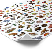 Diereducatie Poster (Hoek)