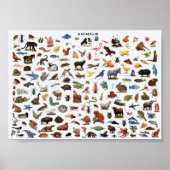 Diereducatie Poster (Voorkant)