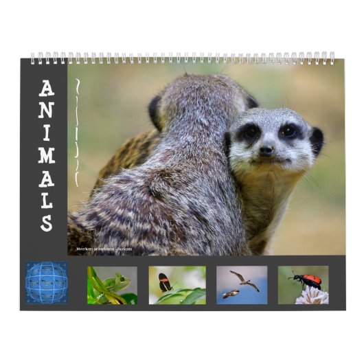 Dieren 12 kalendermaanden kalender (Hoes)