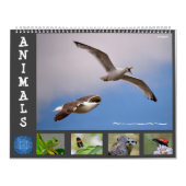 Dieren 12 kalendermaanden kalender (Hoes)