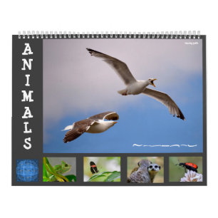 Dieren 12 kalendermaanden kalender