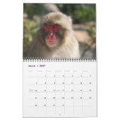 dieren 2010 kalender (Mar 2027)