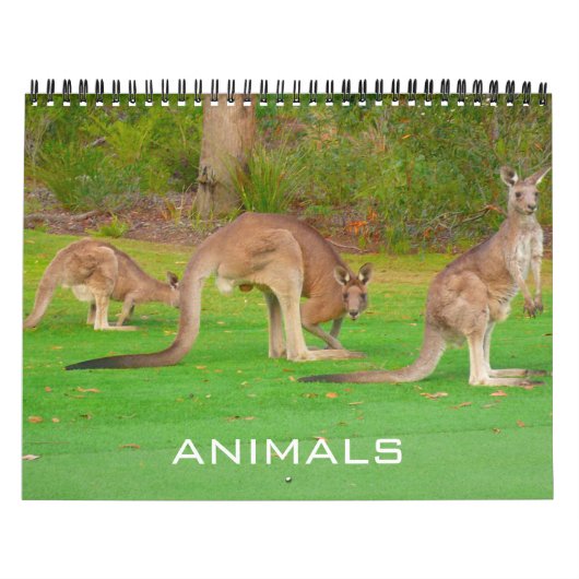 dieren 2026 kalender (Hoes)