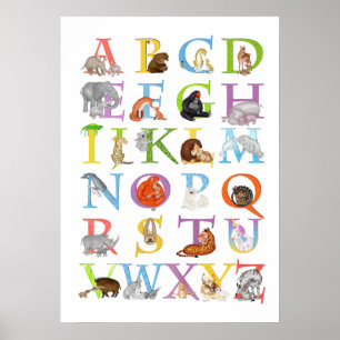 Dieren ABC-kinderkamerposter (blauw) Poster
