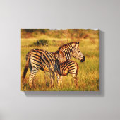 Dieren Afrika zebra Canvas Afdruk (Voorkant)