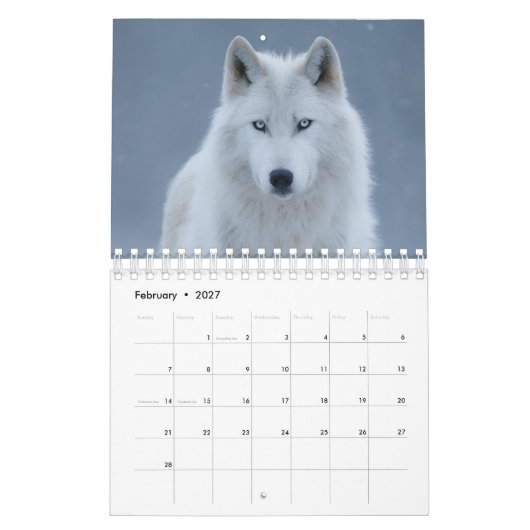 Dieren beeld kalender (Feb 2027)