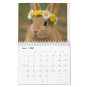 Dieren beeld kalender (Mar 2027)