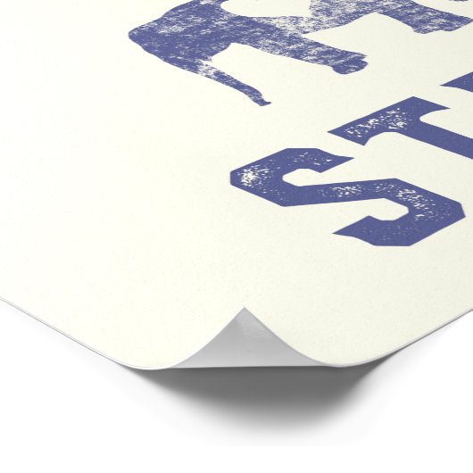 Dieren beschermen poster (Hoek)