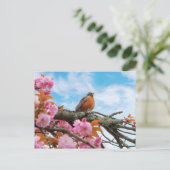Dieren - Bird - First robin of spring Briefkaart (Staand voorkant)
