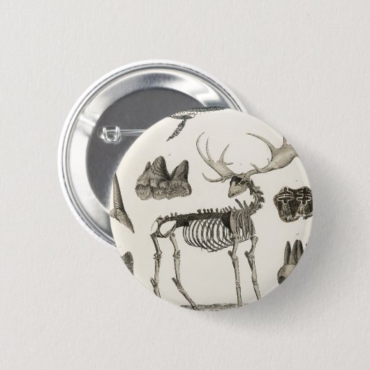 dieren, botten, structuur, skelet, bot, anatomie; ronde button 5,7 cm (Voorkant /achterkant)