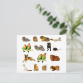 dieren briefkaart (Staand voorkant)