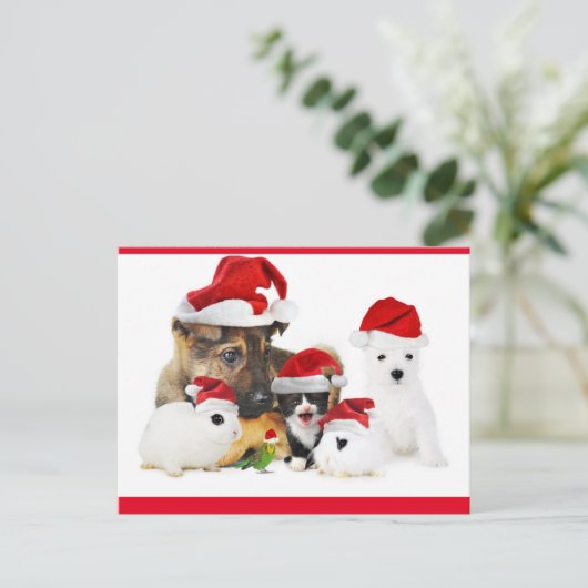 Dieren Briefkaart (Staand voorkant)