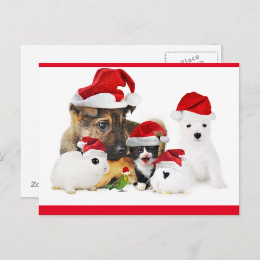 Dieren Briefkaart (Voorkant / Achterkant)