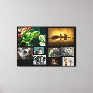 Dieren Canvas Afdruk