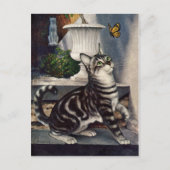  dieren, cute Tabby Cat snd Butterfly Briefkaart (Voorkant)