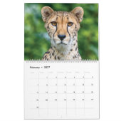 Dieren die naar je kijken kalender (Feb 2027)