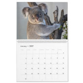 Dieren die naar je kijken kalender (Jan 2027)