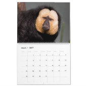 Dieren die naar je kijken kalender (Mar 2027)