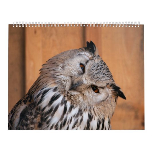 Dieren die naar je kijken kalender (Hoes)