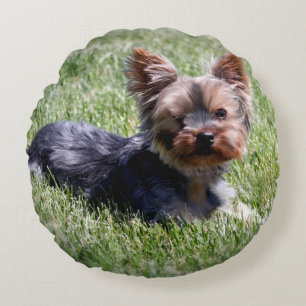 Dieren Dieren Dog Schattige Yorkie Round Pillow Rond Kussen