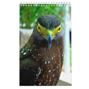 Dieren en huisdieren kalender
