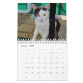 Dieren en insecten, van het Engelse platteland Kalender (Jan 2027)