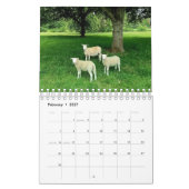 Dieren en insecten, van het Engelse platteland Kalender (Feb 2027)